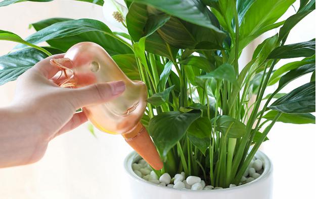 韓版小鳥自動澆水器 小溫進口批發